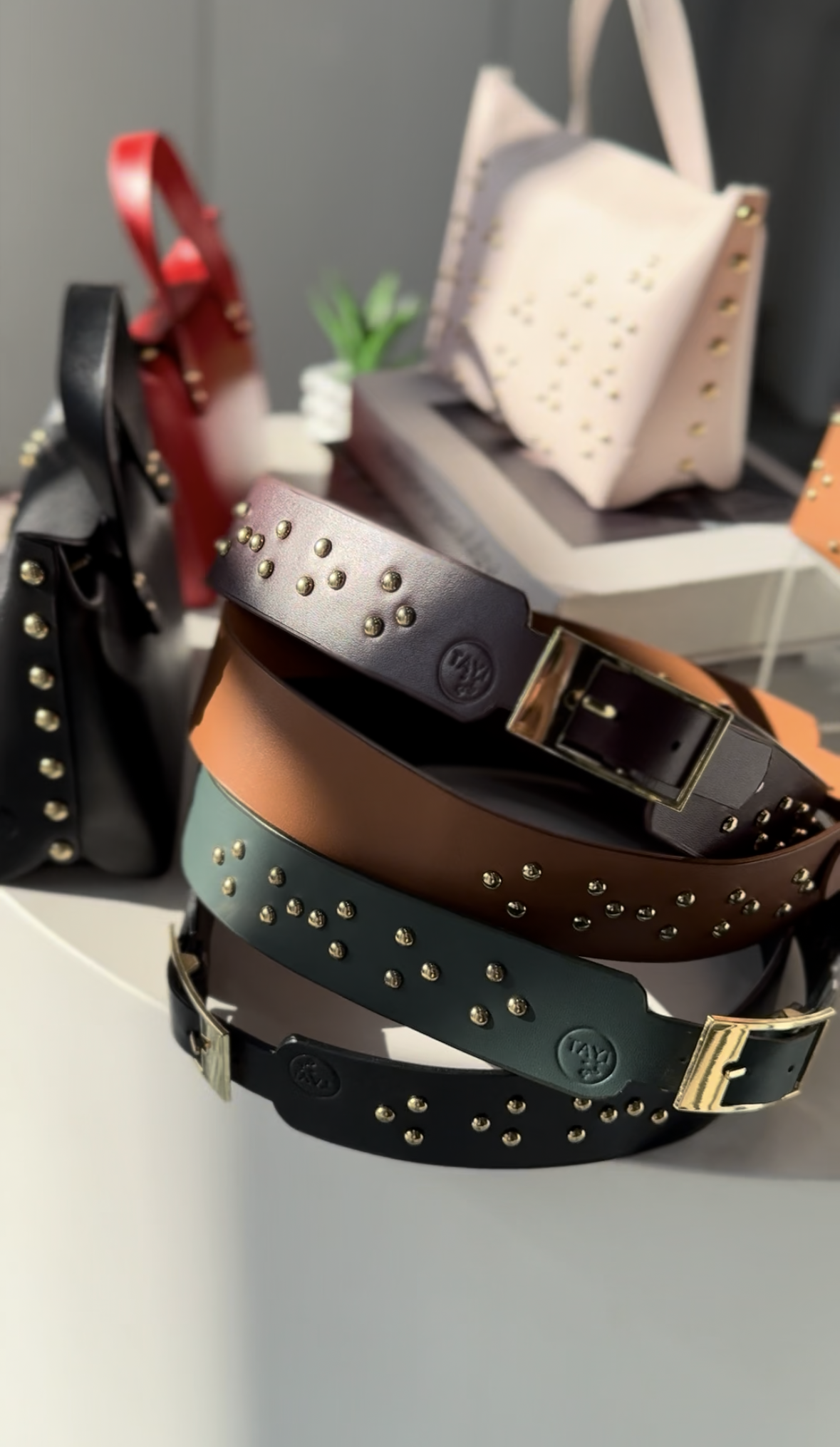 Signature Belt